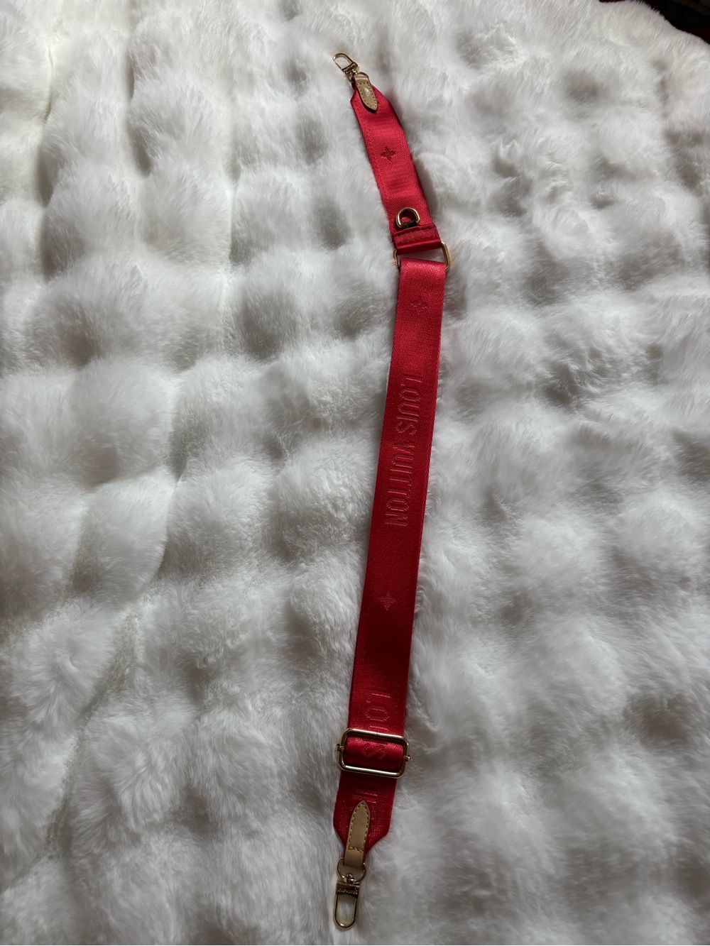 Adjustable Bag Strap with Gold Hardware